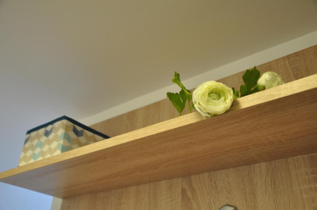 Smp Apartment ティミショアラ エクステリア 写真